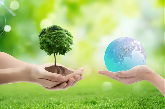 Environmental damage caused by plastic pollution in oceans and urban areas