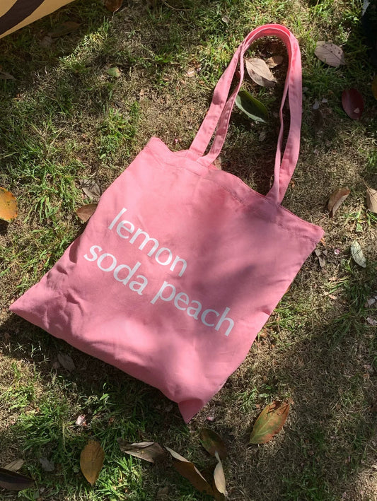 Sustainable fabric bag showing size and capacity for everyday carry