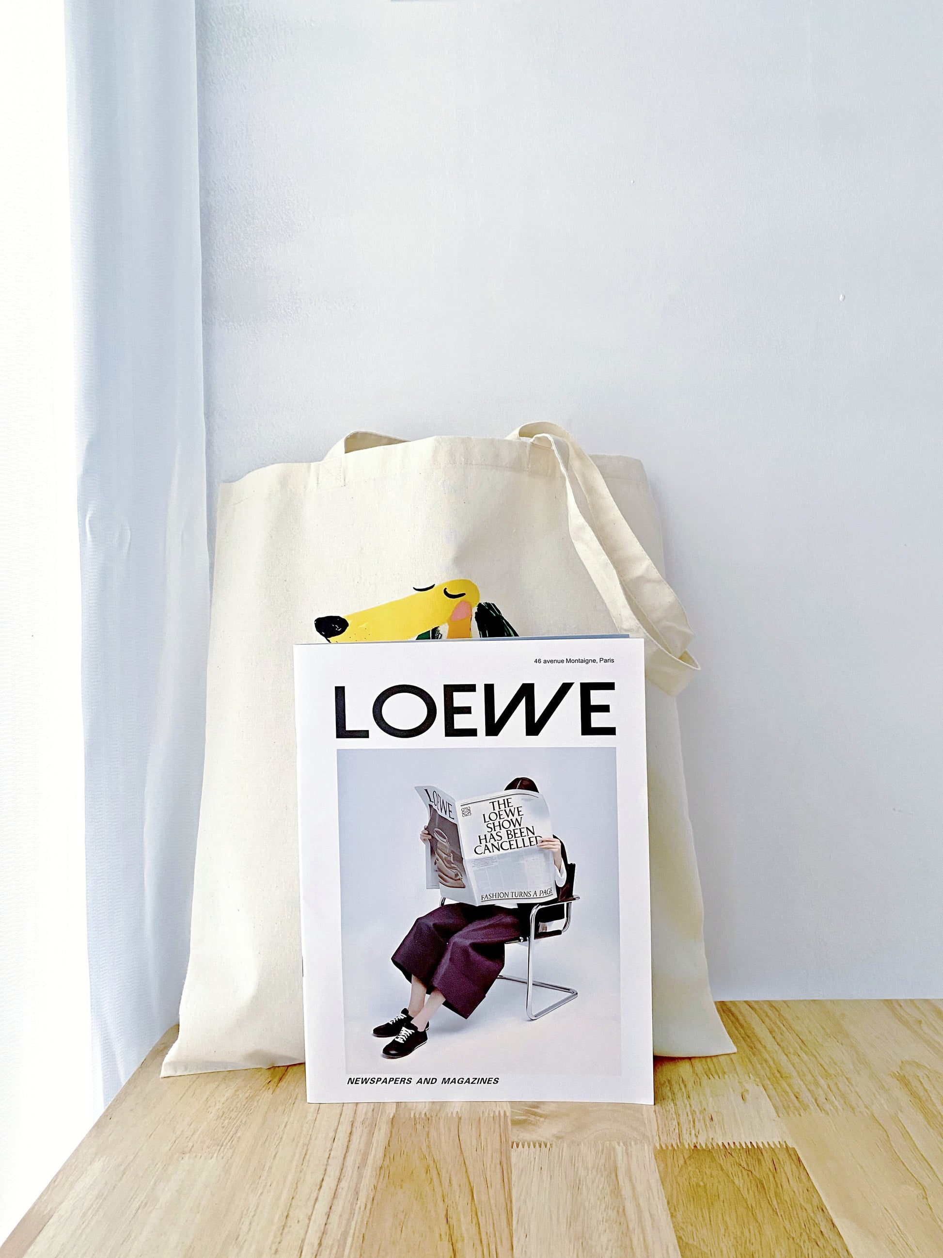 Reusable puppy tote for quick grocery trips in Sydney