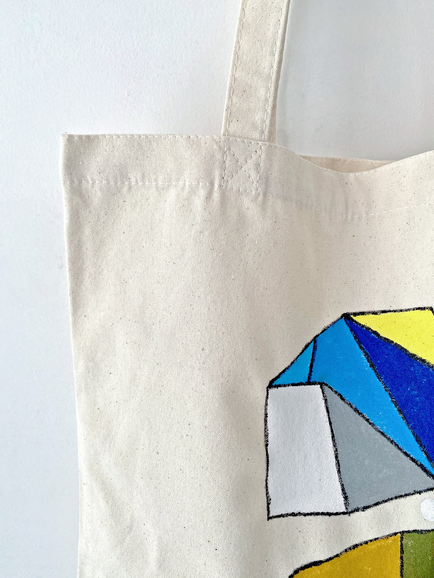 Spacious interior of a sturdy canvas carrier designed for heavy groceries and books.